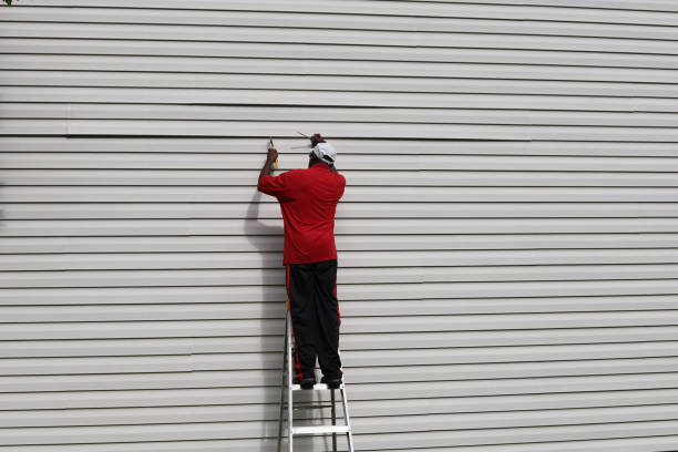 Best Vinyl Siding Installation  in Renovo, PA